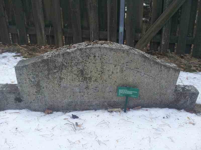 Grave number: 1 KV.5    55-56