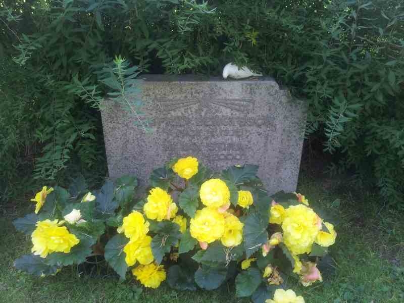 Grave number: 1 NF    71-1-3
