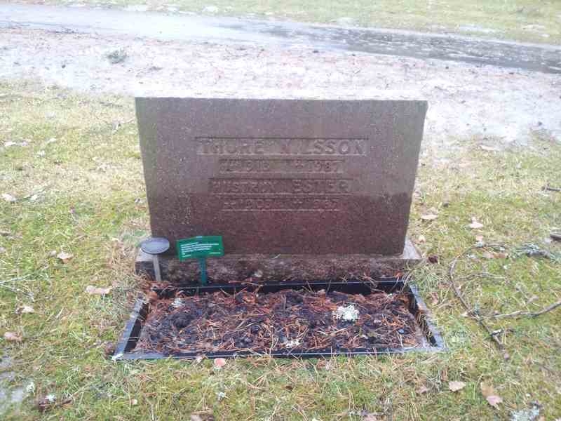 Grave number: 1 KV.4   262-263