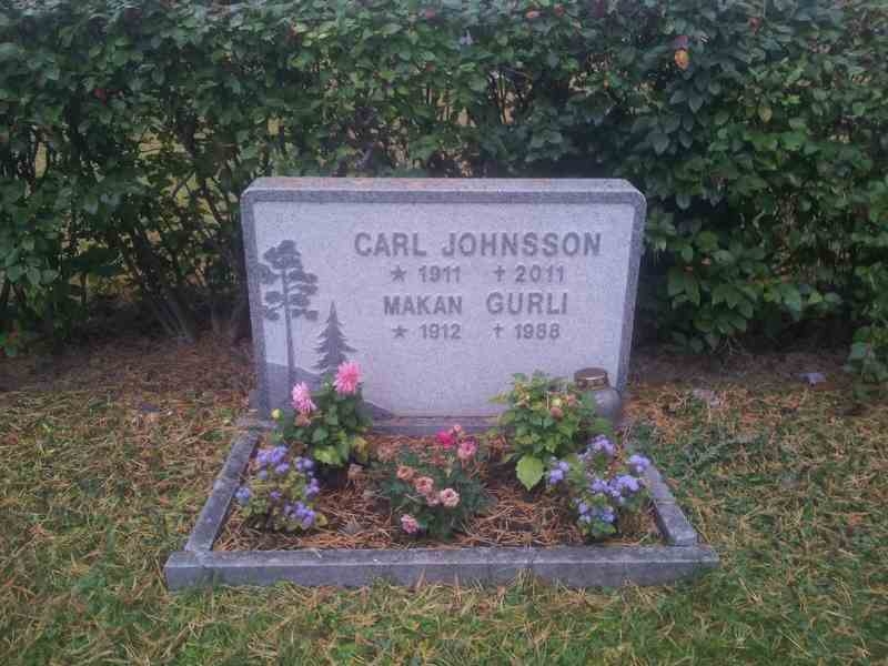 Grave number: 1 KV.9   228-229
