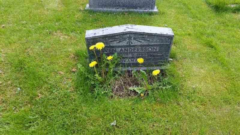 Grave number: 1 GL.8    49