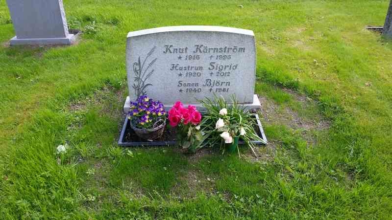 Grave number: 1 GL.8    28-30
