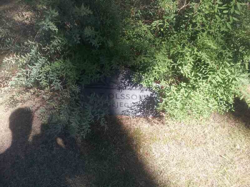 Grave number: 1 NE    74