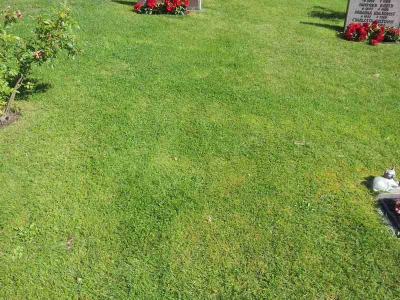 Grave number: 1 GL.3    64