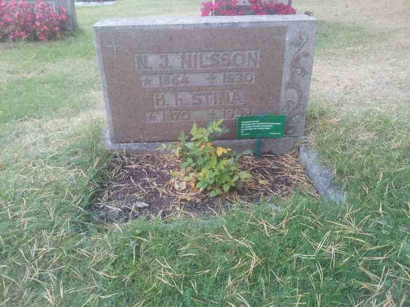 Grave number: 1 GL.9   137-138