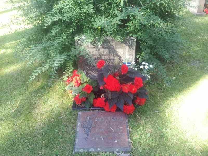 Grave number: 1 NE    54
