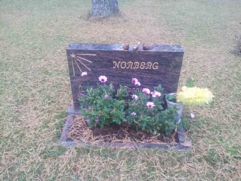 Grave number: 1 KV.9   353-355
