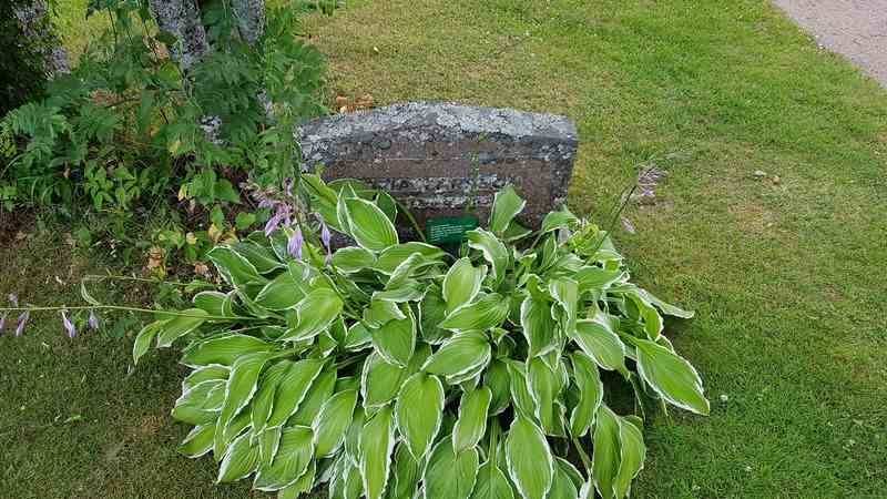 Grave number: 3 V E4     1