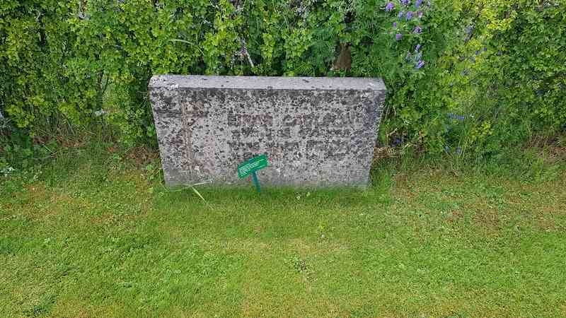 Grave number: 3 V E3     5-6