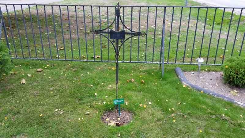 Grave number: 3 V K1    10