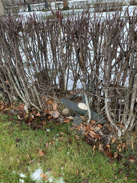 Hautatunnus: GK A 5    17V