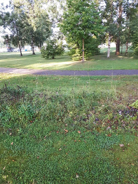 Gravnummer: GK F 4   366