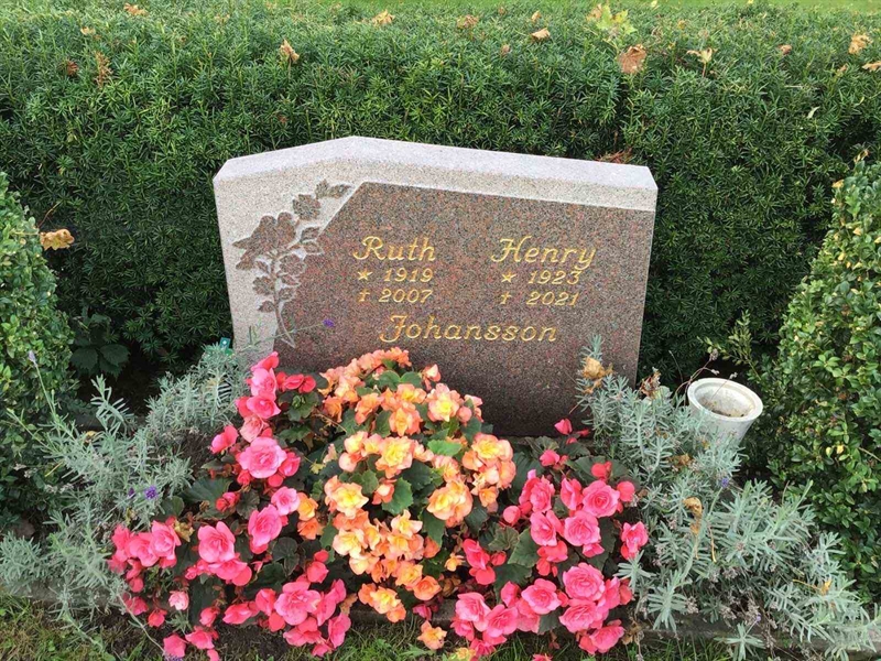 Hautatunnus: Kaga ny   216-217