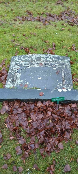 Gravnummer: 3 Nya E    70-71