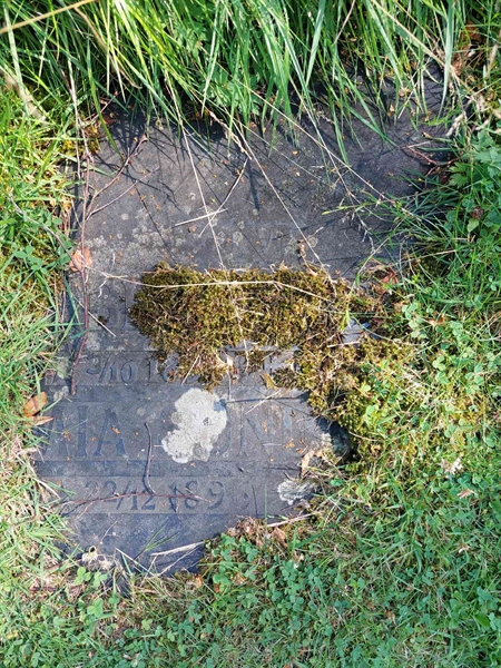 Grave number: 1 C   111