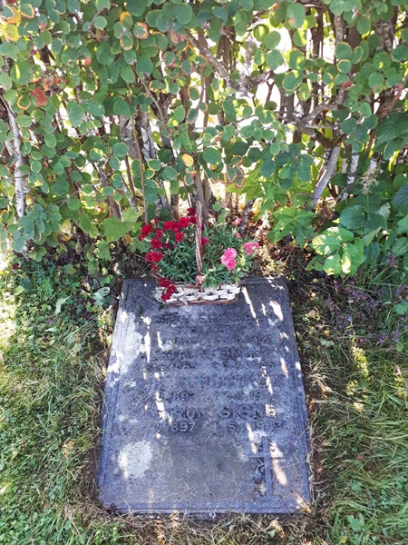 Hautatunnus: NK F G   240