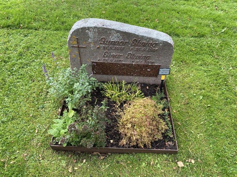 Hautatunnus: 2 C   706-707