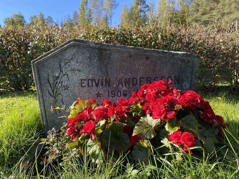 Grave number: 1 22     25