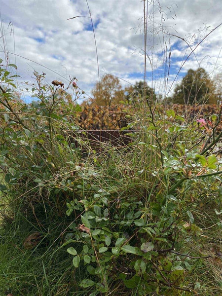 Hautatunnus: 1 24    106