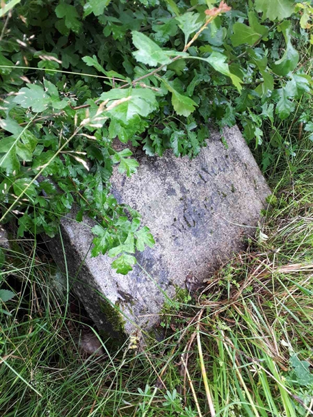 Gravnummer: GK F 5   520AB