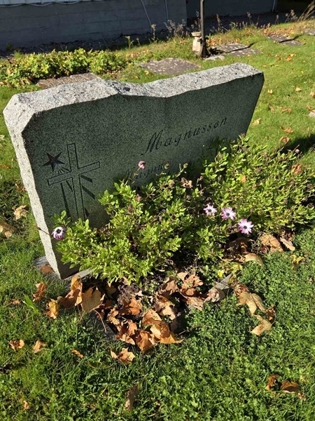 Grave number: T A B   528-529