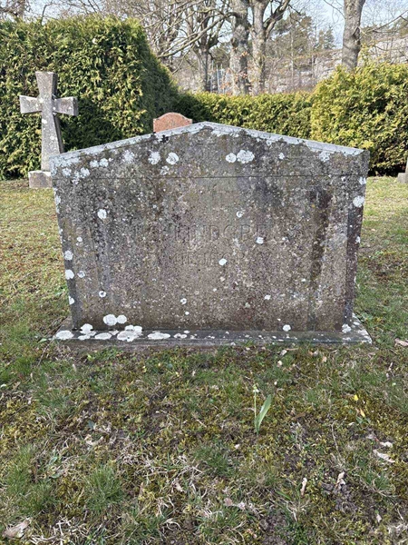 Gravnummer: LI    41