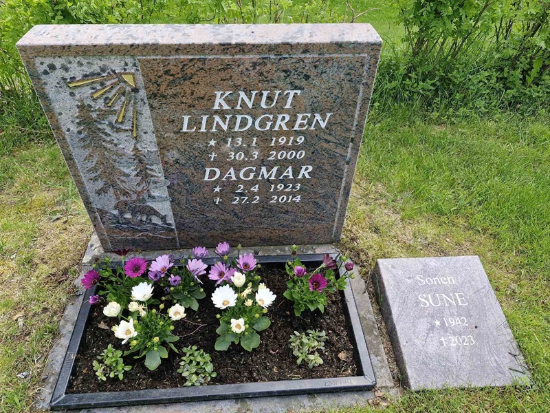 Hautatunnus: TK N ÖVRE 313