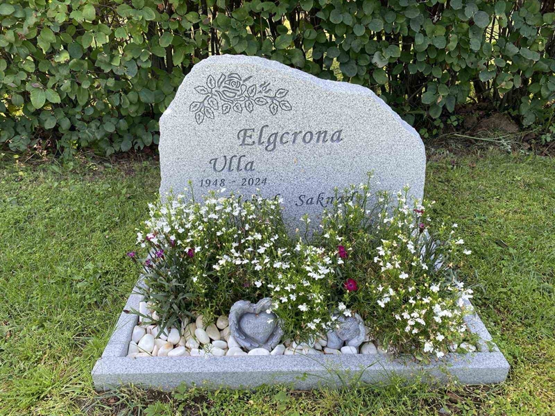 Grave number: 3 20 215