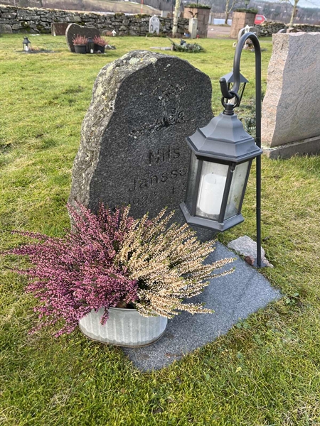 Hautatunnus: Ärt 96 33 100