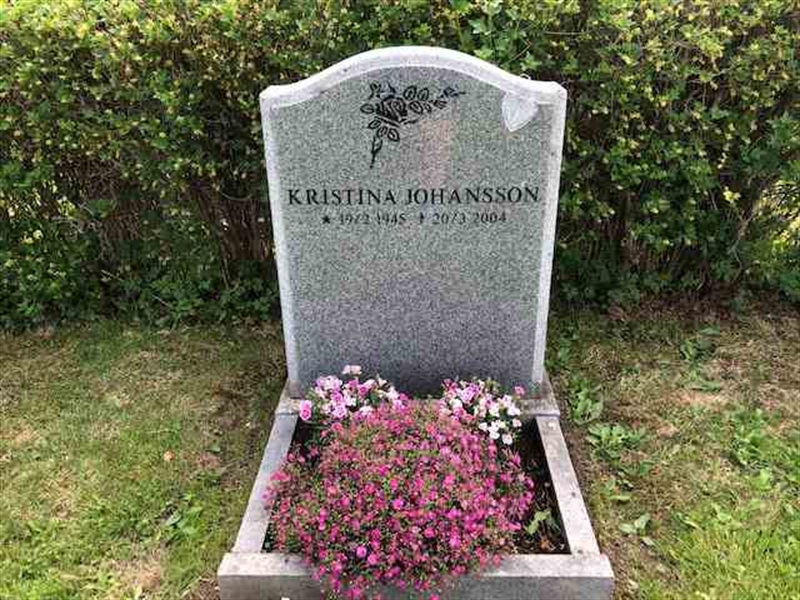 Gravnummer: 1 E  2334Allm