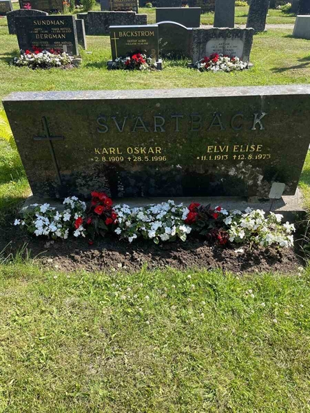 Hautatunnus: N 5 2   229