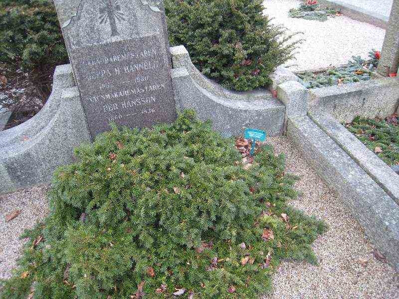 Grave number: NK III    10