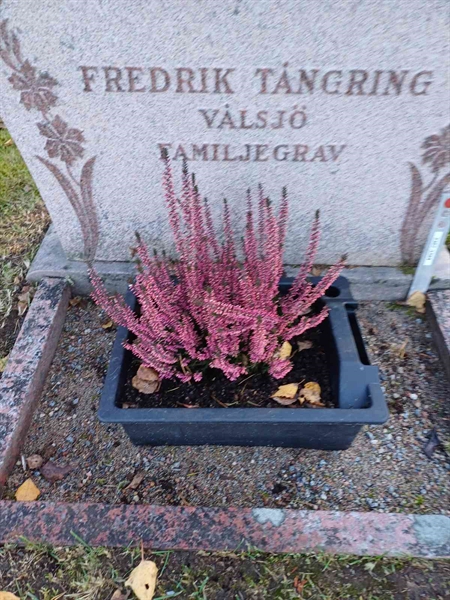 Grave number: JÄ 1 B 3382, 3383, 3384