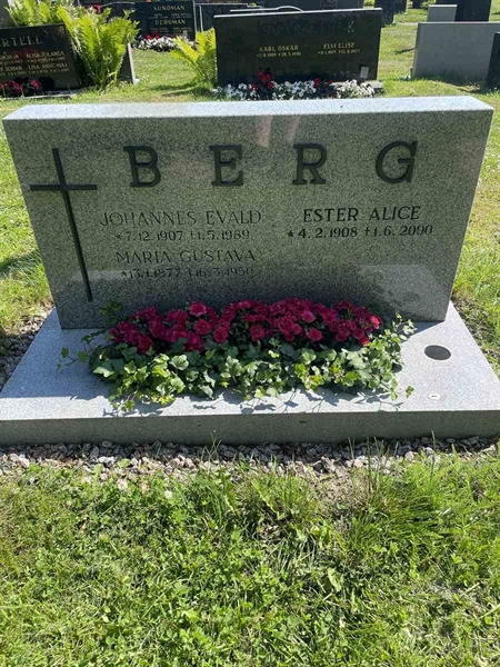 Grave number: N 5 2   265