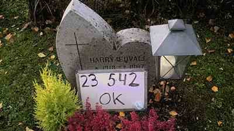 Grave number: IN 23   542