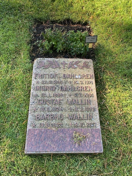 Hautatunnus: 2 E   700