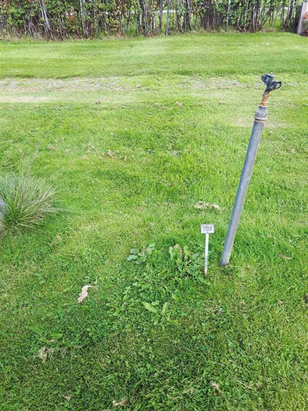 Hautatunnus: NK F B   782