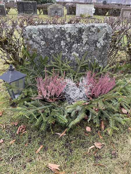 Hautatunnus: Vårv Kv3 251+252