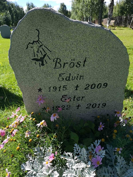 Hautatunnus: NK 19    35-36