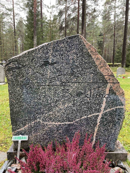Grave number: 3 11   115