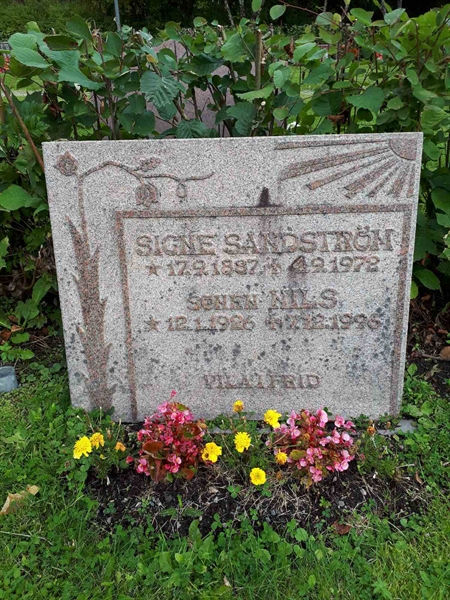 Gravnummer: NK F B     8