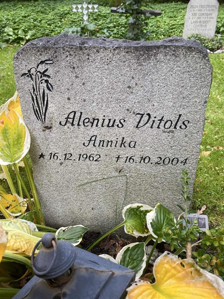 Gravnummer: 1 H    47