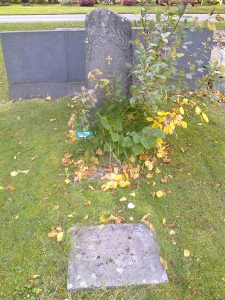 Grave number: NO 15   116