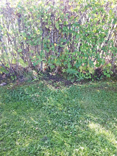 Grave number: NK F B   160