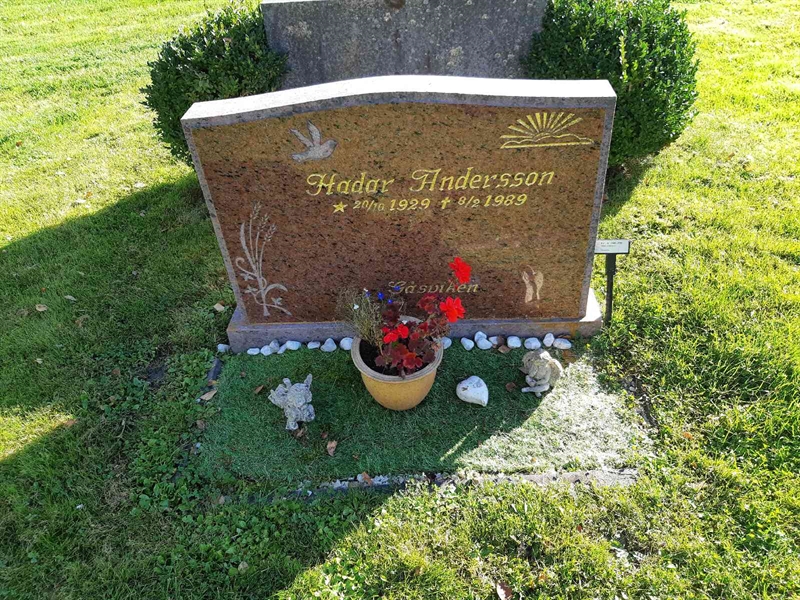 Hautatunnus: Fr 8   298-299