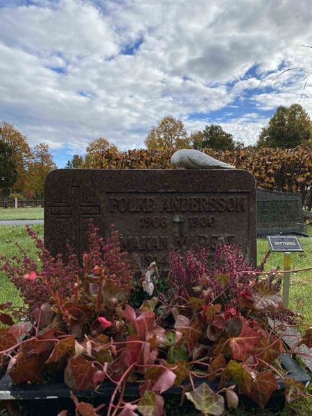 Grave number: 1 24    105