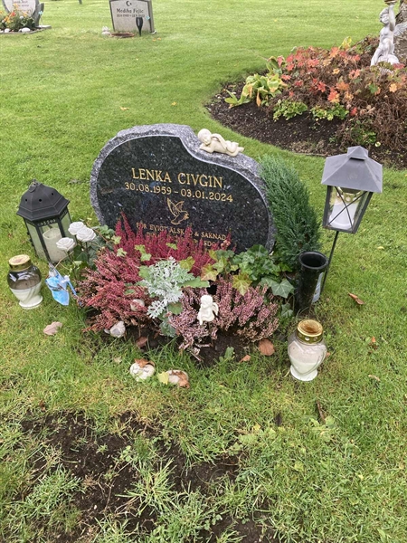 Hautatunnus: 1 3 M/Be   118-119