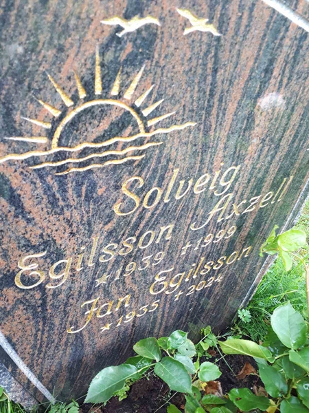 Gravnummer: NK F D   244