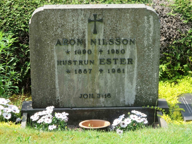 Grave number: HÖB 46    23