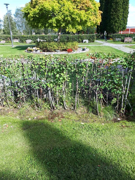 Gravnummer: NK F A   129